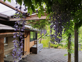 【庭】 | 霧島市霧島田口