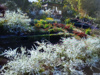 【庭】 | 霧島市霧島田口