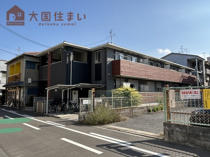 プリムローズの画像