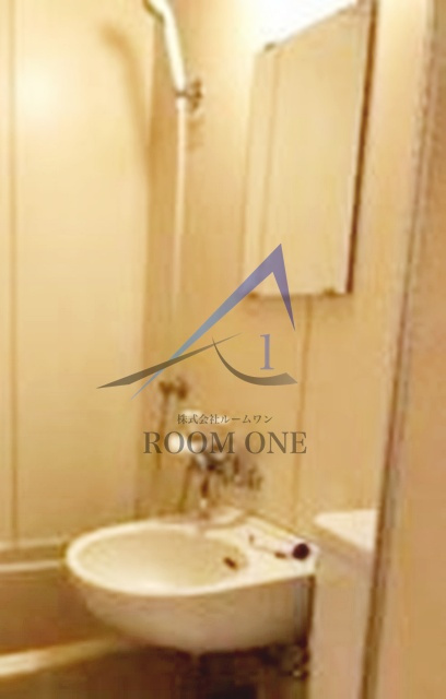 ニューライフ新宿東の洗面所|洗面台です。