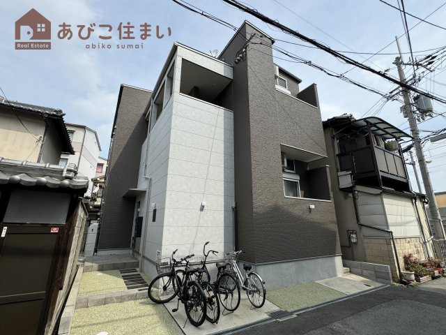 SayaReine Sugimotoの外観