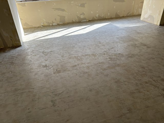 【その他】