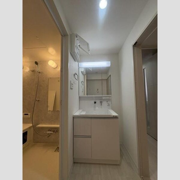 エクセルハイム東灘の独立洗面台|独立洗面台で身支度をすべて済ませてしまいましょう