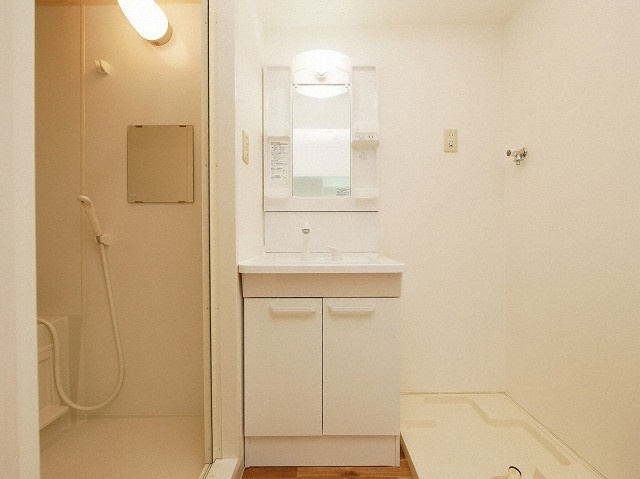 シェモア桜川の洗面所