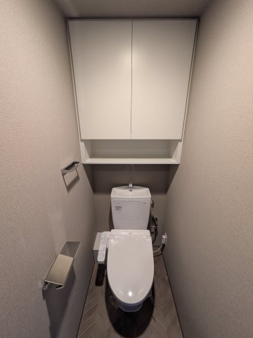 ブランシエスタ新丸子リバーフロントのトイレ|同間取り別部屋の参考写真です。