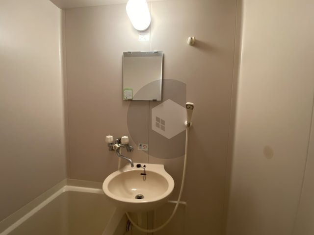 SENTIA八戸ノ里の洗面所