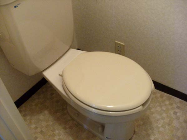 共立マンション小松里のトイレ|シンプルで使いやすいトイレです
