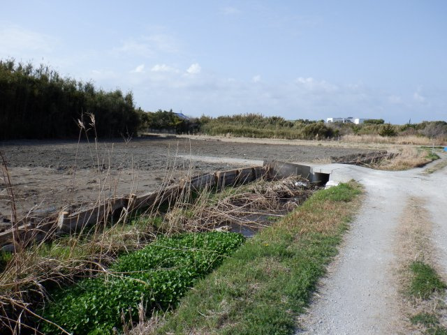 洲宮