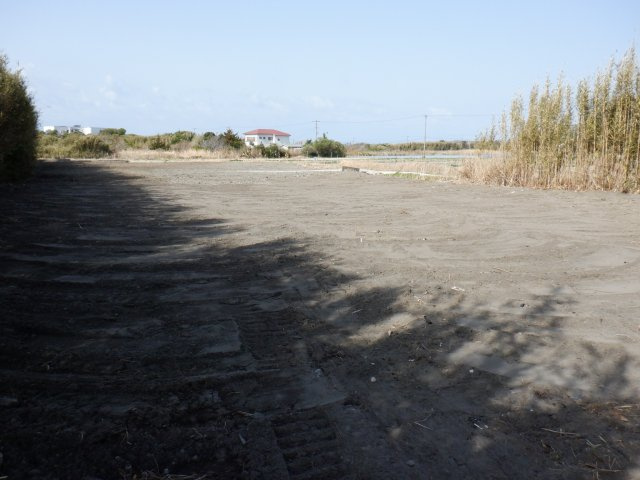 洲宮の外観