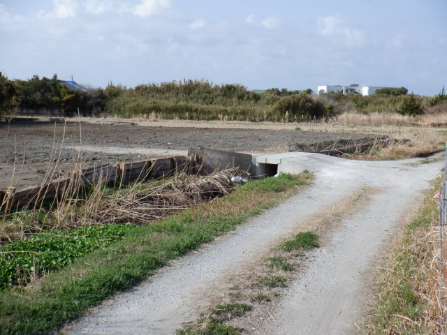 洲宮の外観