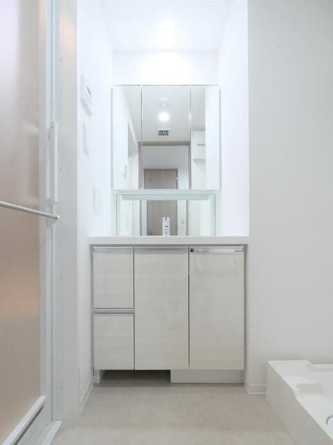 ブライズフォルム墨田の洗面所