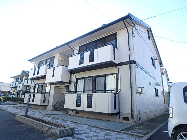 のぎく　Ａ