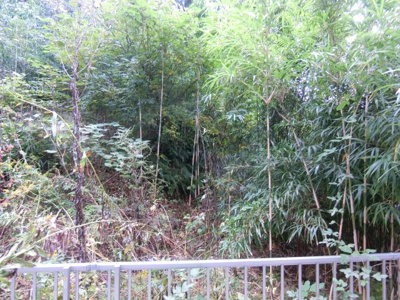 【展望】 | シャーメゾン祇園