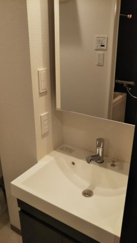 コンシェリア東京AQUA VERTの洗面所