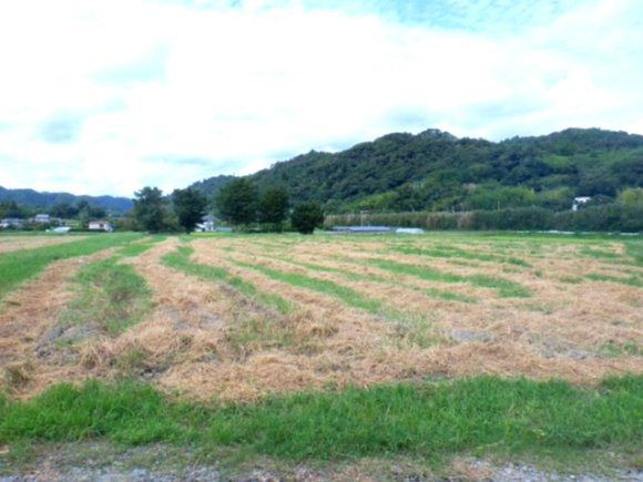 南房総市千代の外観