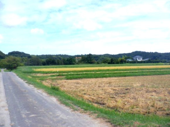 南房総市千代の外観