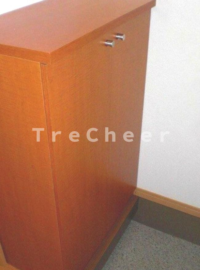 アステールのその他