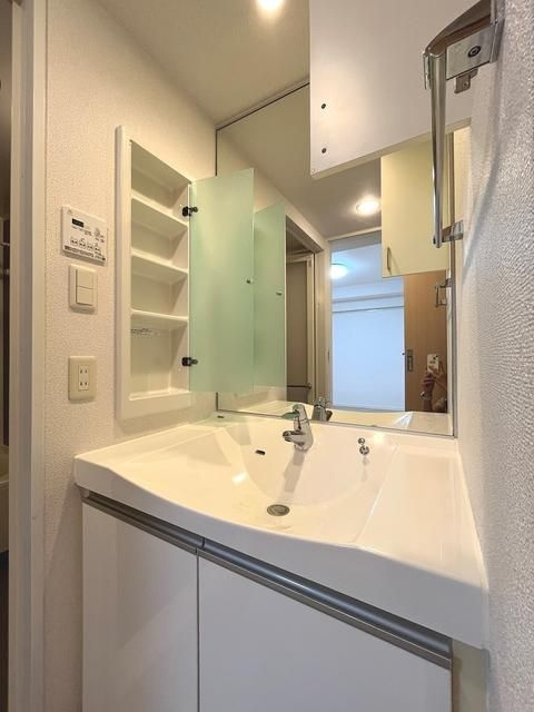 エスティメゾン錦糸町Ⅱの洗面所