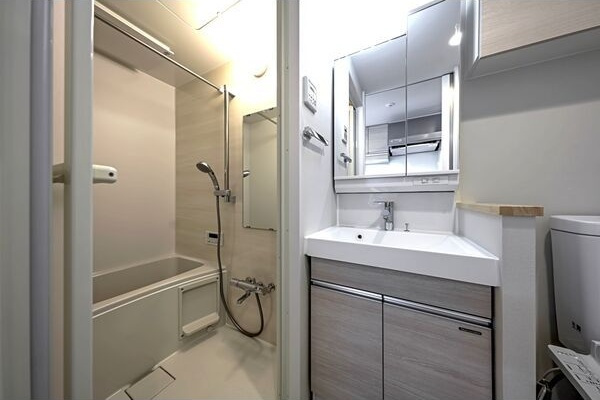 Live Casa堀田の洗面所