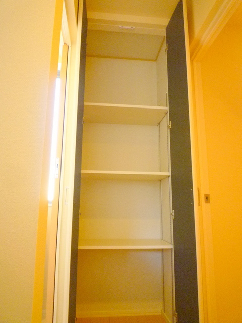 グランドソレイユの玄関|★玄関にも収納あり★