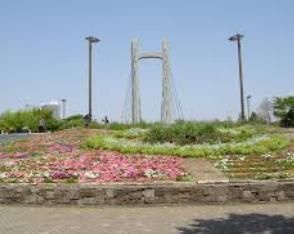 【周辺】 | GENOVIA木場skygarden（ジェノヴィア木場スカイガーデン）