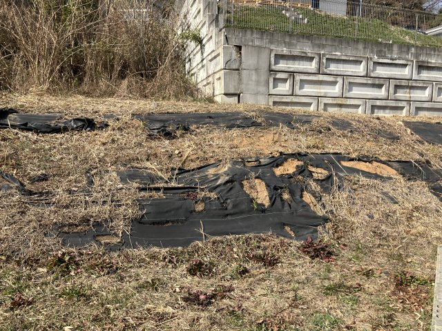 売地　豊川市国府町山ノ入8-1他5筆の外観|現地写真