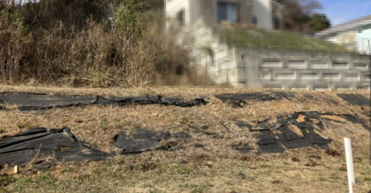 売地　豊川市国府町山ノ入8-1他5筆の外観|現地写真