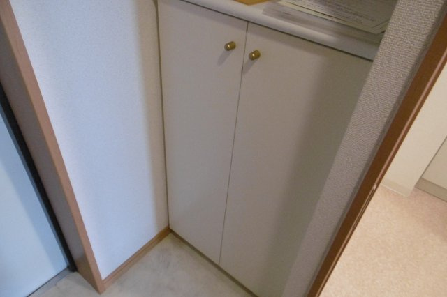 【設備】 | Ｇｒｅｅｎｗｉｃｈ　Ｈｏｕｓｅ | シューズボックスです（同物件別室の写真です）
