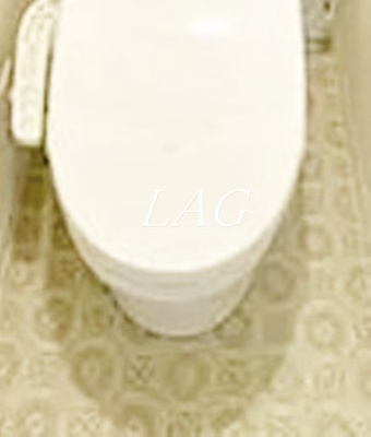 【トイレ】 | グランソレイユ亀有Ｃ | トイレです。