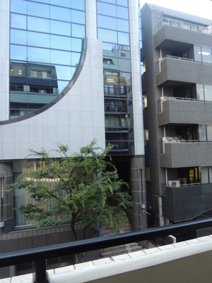 【展望】 | フィオレッタ両国