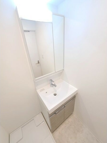 ディアレイシャス大須赤門通本町の洗面所