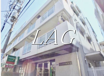 【外観】 | ニューハイツ中落合 | 外観です。