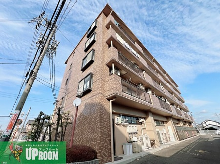 フェリースアイチ