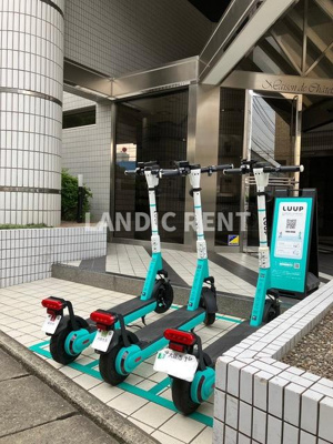 【その他】 | メゾン・ド・シャトラン