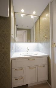 ブランシエスタ白山の洗面所