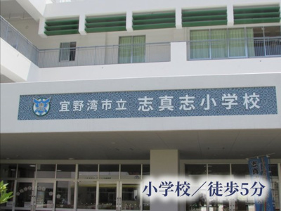  | ファイン志真志