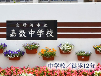  | ファイン志真志