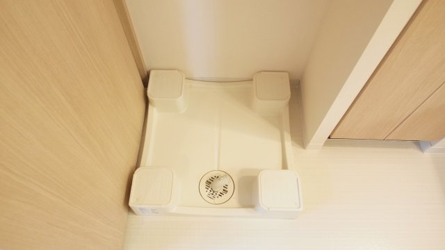 プレサンスロジェ難波グランドウエストの洗面所