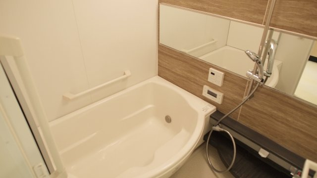 プレサンスロジェ難波グランドウエストの浴室