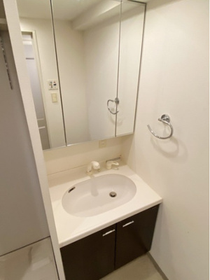 【独立洗面台】 | ソルフィエスタ住吉