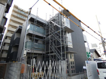 トリシア千躰の画像