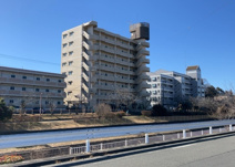 クレール・ボアの画像