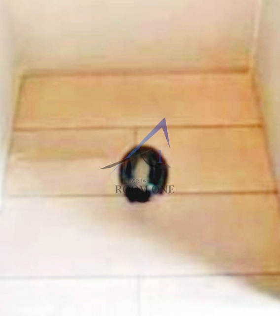 Ａｖｅｎｉｒ　Ｊ．Ｙ．