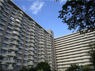 東陽町住宅の画像
