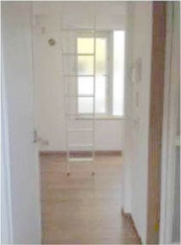 フェリスサクセスの内装