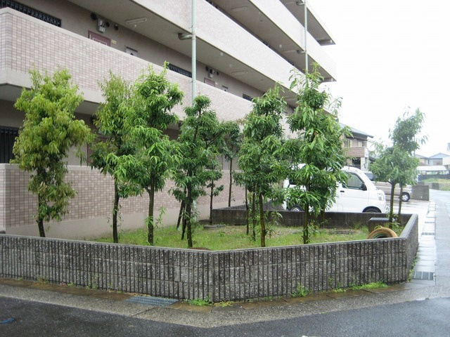 メゾンウィングの庭|お庭も活用できます