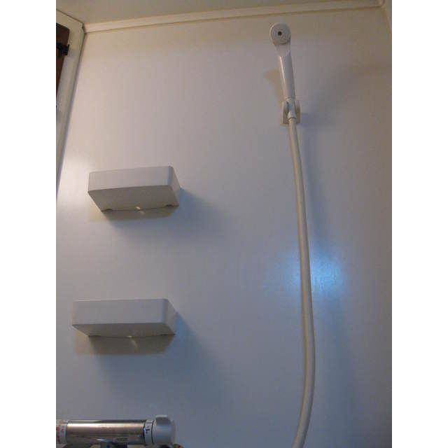 ダイヤモンドレジデンス柳橋の浴室