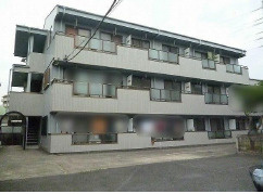 葛飾区柴又5丁目のマンションの画像