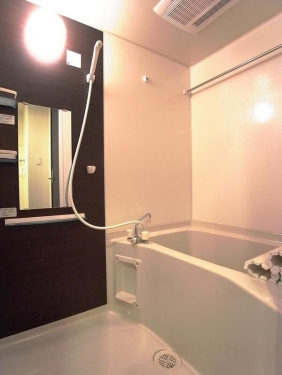 リブリ・シェルドニーの浴室