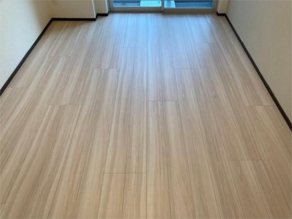 ジェノヴィア東向島スカイガーデンの居間・リビング